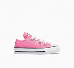 Converse Chuck Taylor All Star Rosas | 015-ZMOFEC