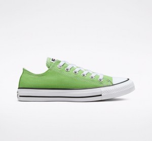 Converse Chuck Taylor All Star Seasonal Color Virtual Matcha | 753-BLWEJO