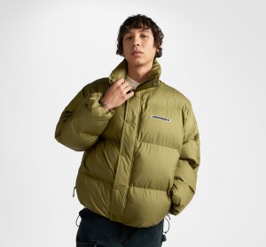 Converse Super Puffer Acolchado Jacket Cosmic Turtle | 980-JBADMR