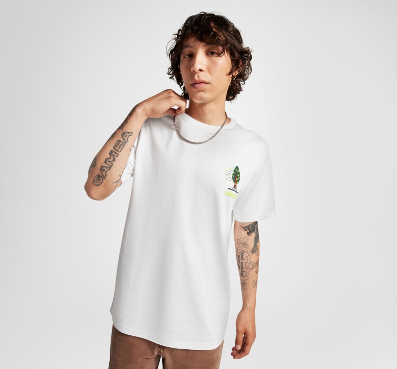 Converse All Star Tree T-shirt Blancas | 825-KNTLGC