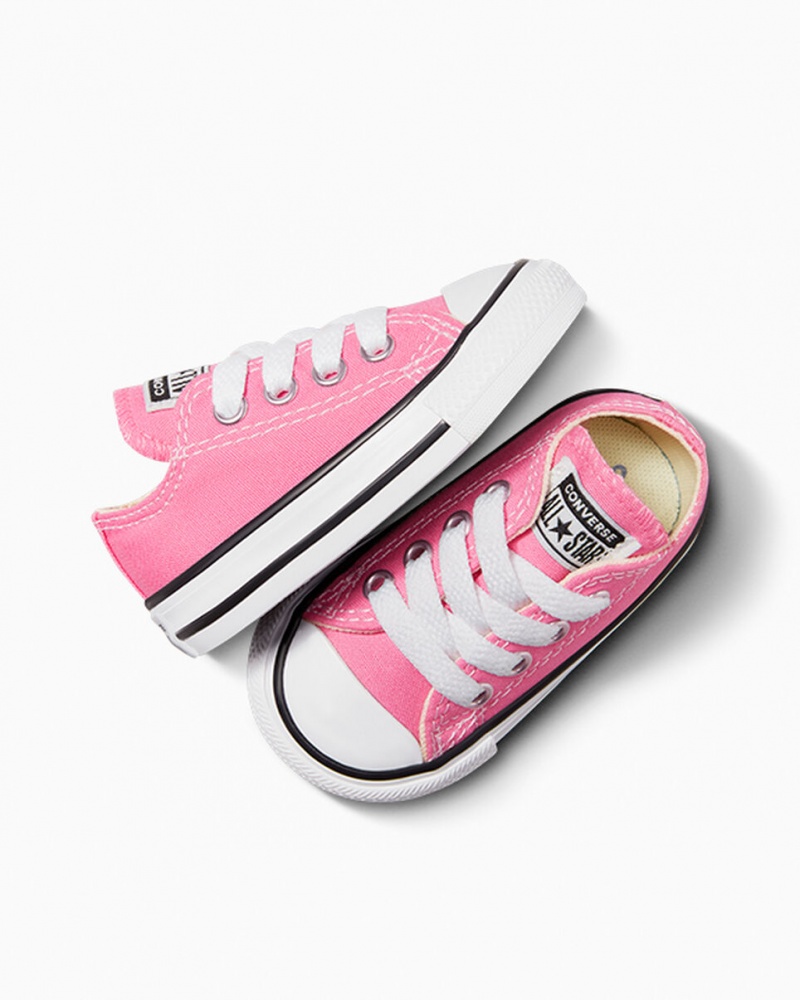 Converse Chuck Taylor All Star Rosas | 015-ZMOFEC