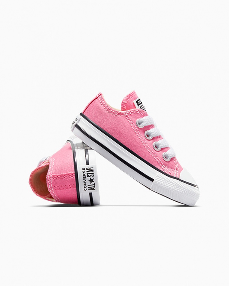 Converse Chuck Taylor All Star Rosas | 015-ZMOFEC