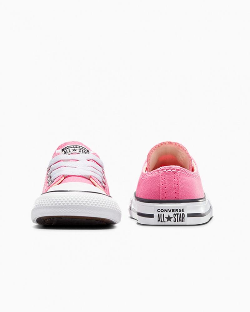 Converse Chuck Taylor All Star Rosas | 015-ZMOFEC