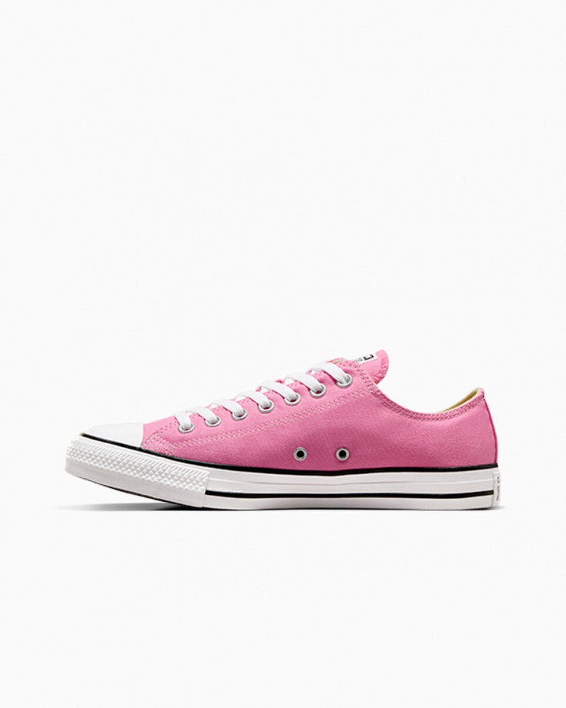 Converse Chuck Taylor All Star Rosas | 124-VENHBR