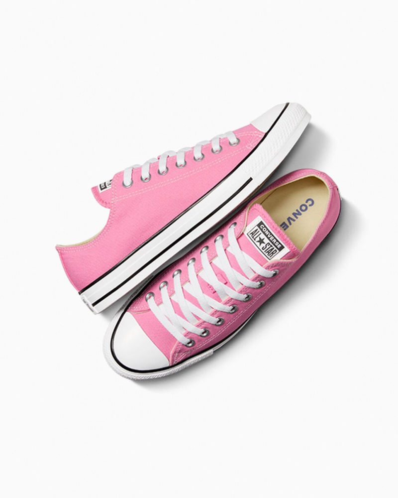 Converse Chuck Taylor All Star Rosas | 124-VENHBR