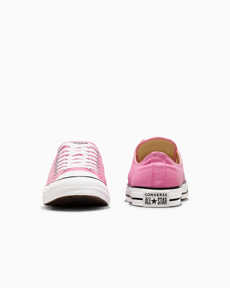 Converse Chuck Taylor All Star Rosas | 124-VENHBR