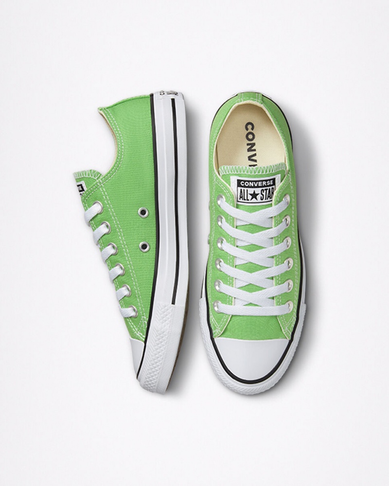 Converse Chuck Taylor All Star Seasonal Color Virtual Matcha | 753-BLWEJO