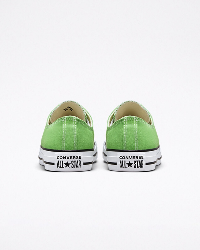 Converse Chuck Taylor All Star Seasonal Color Virtual Matcha | 753-BLWEJO